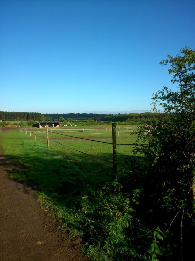 沃克索普Clumber Lane End Farm住宿加早餐旅馆 外观 照片
